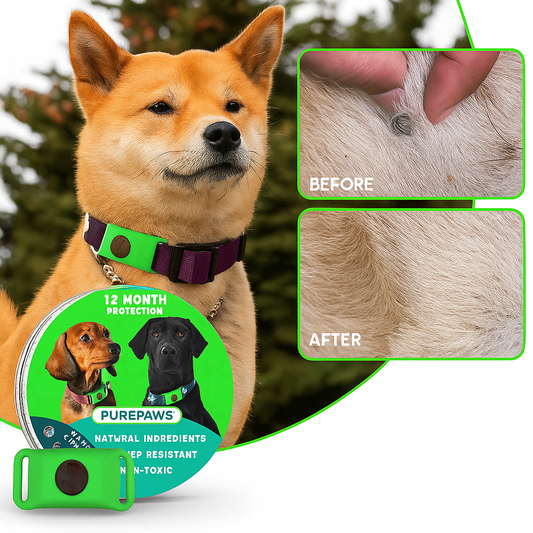 PurePaws™ - 12 Months Flea and Tick Tags for Dogs